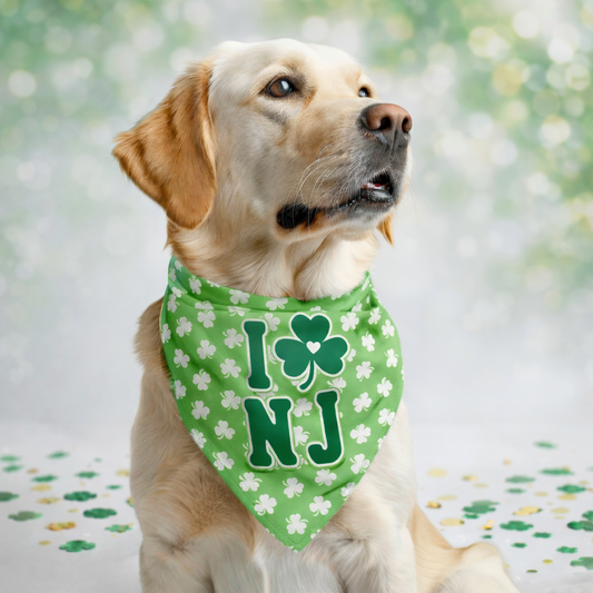 St Paddy's Day I Love NJ