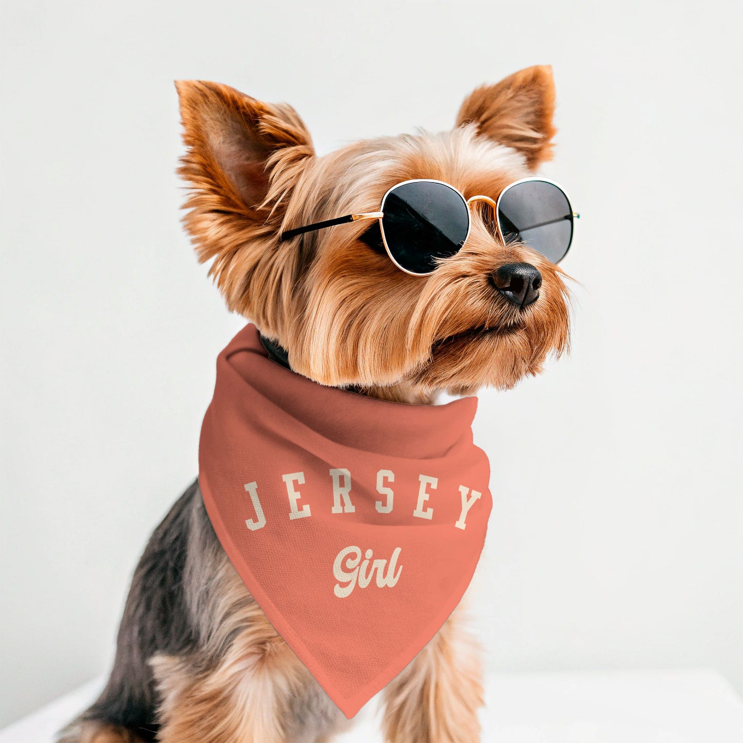 Dog wearing sunglasses and a 'Jersey Girl' bandana