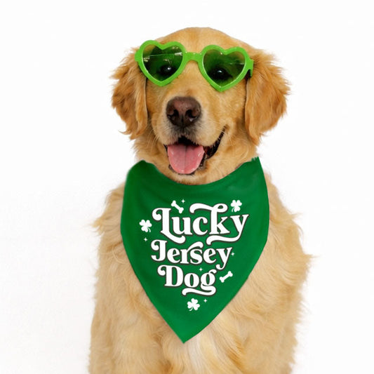 Dog wearing a green bandana with 'Lucky Jersey Dog' text and green heart-shaped sunglasses on a white background