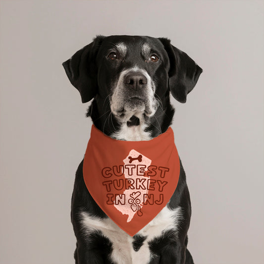 Cutest Turkey in Jersey