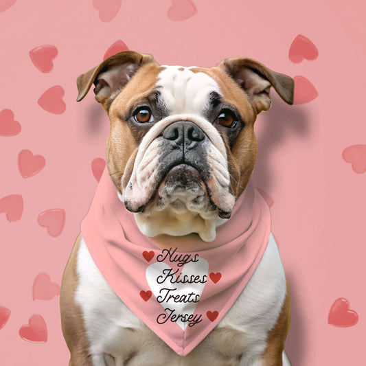 HUGS KISSES TREATS JERSEY