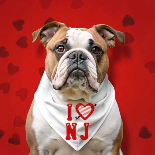 I HEART NJ VALENTINE