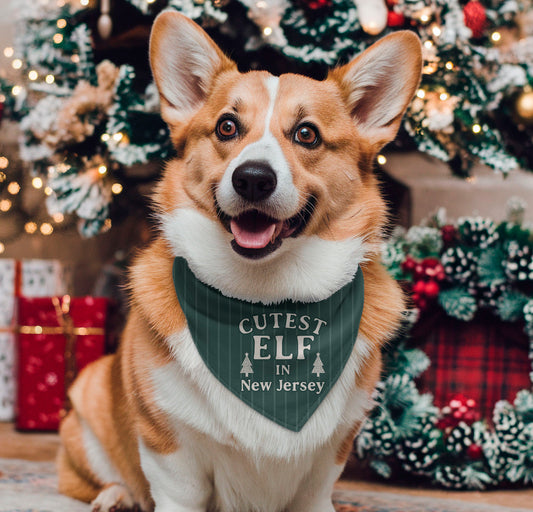 Cutest Elf in New Jersey