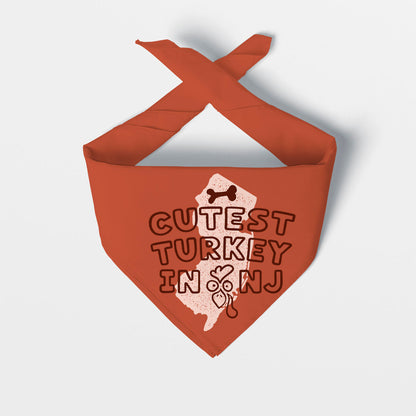 Cutest Turkey in Jersey