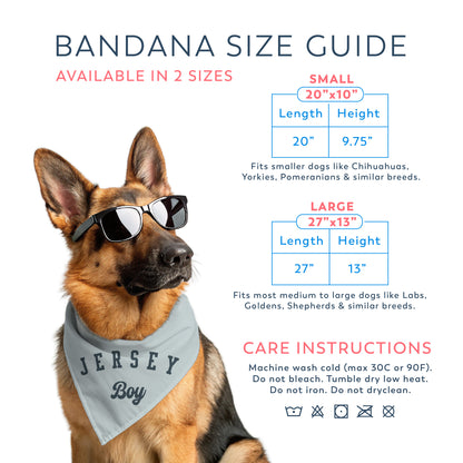 Dog wearing a bandana with bandana size guide and care instructions on a white background
