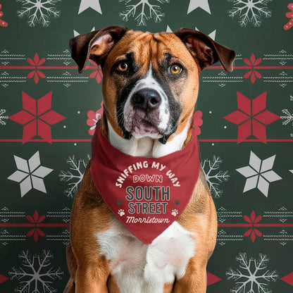 Sniffing South Street Xmas