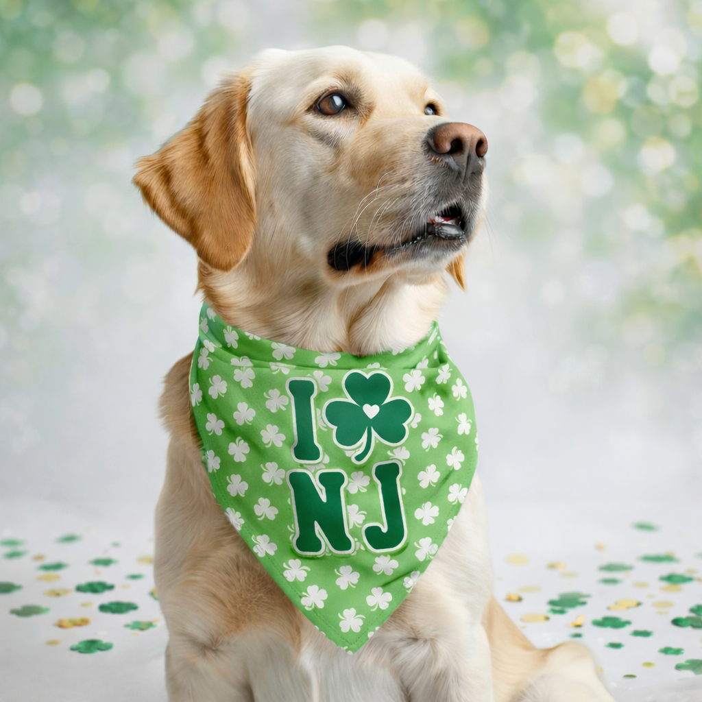 St Paddy's Day I Love NJ