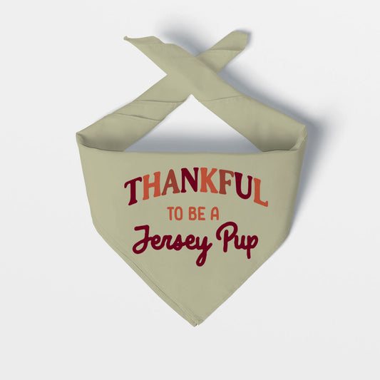 Thankful Jersey Pup