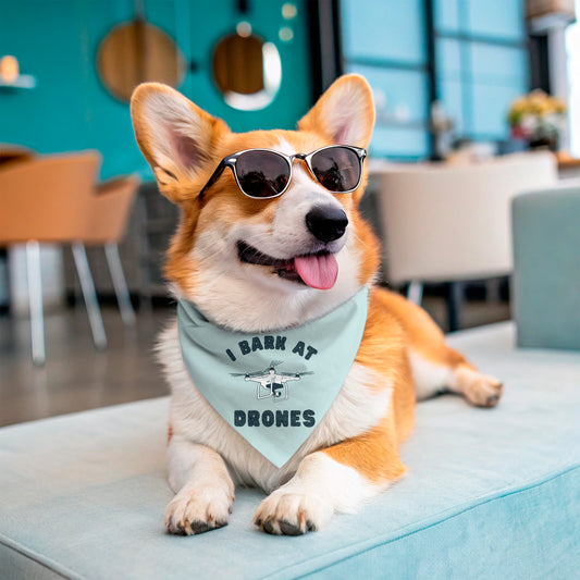 I BARK AT DRONES