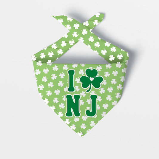 St Paddy's Day I Love NJ