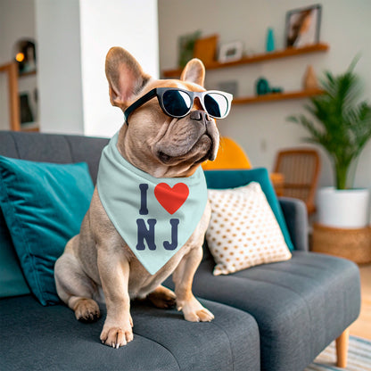 Dog wearing sunglasses and a 'I ❤️ NJ' bandana on a couch in a living room.
