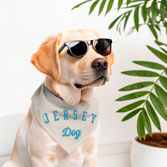 JERSEY DOG