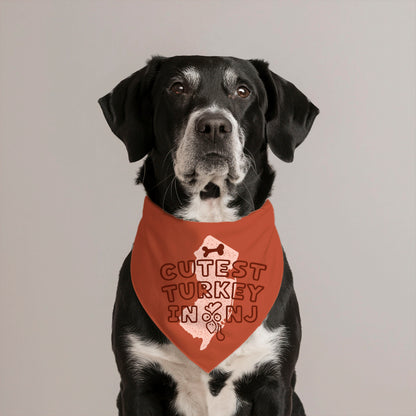 Cutest Turkey in Jersey