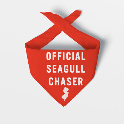 OFFICIAL SEAGULL CHASER
