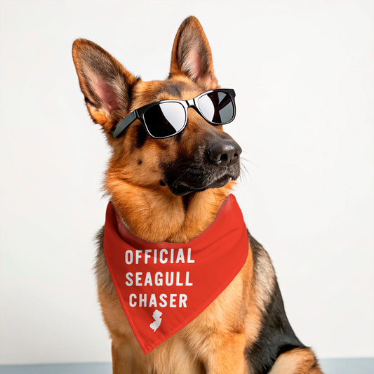 OFFICIAL SEAGULL CHASER