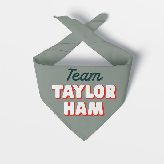 TEAM TAYLOR HAM