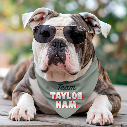 TEAM TAYLOR HAM